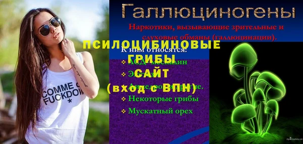 спиды Аркадак